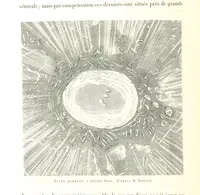 Picture 58 of 238 from L'Espace céleste et la nature tropicale, description physique de l'univers ... préface de M. Babinet, dessins de Yan' Dargent (1866), leaf 172