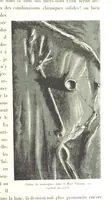 Picture 59 of 238 from L'Espace céleste et la nature tropicale, description physique de l'univers ... préface de M. Babinet, dessins de Yan' Dargent (1866), leaf 173