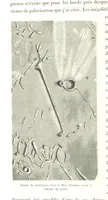 Picture 60 of 238 from L'Espace céleste et la nature tropicale, description physique de l'univers ... préface de M. Babinet, dessins de Yan' Dargent (1866), leaf 174