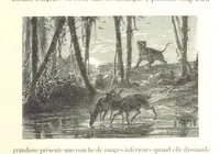 An illustration from L'Espace céleste et la nature tropicale, description physique de l'univers ... préface de M. Babinet, dessins de Yan' Dargent (1866)