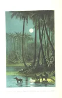 Picture 66 of 238 from L'Espace céleste et la nature tropicale, description physique de l'univers ... préface de M. Babinet, dessins de Yan' Dargent (1866), leaf 186