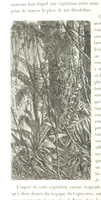 Picture 71 of 238 from L'Espace céleste et la nature tropicale, description physique de l'univers ... préface de M. Babinet, dessins de Yan' Dargent (1866), leaf 204