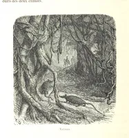 Picture 93 of 238 from L'Espace céleste et la nature tropicale, description physique de l'univers ... préface de M. Babinet, dessins de Yan' Dargent (1866), leaf 288