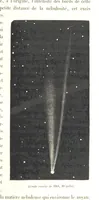 Picture 97 of 238 from L'Espace céleste et la nature tropicale, description physique de l'univers ... préface de M. Babinet, dessins de Yan' Dargent (1866), leaf 301