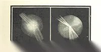 Picture 101 of 238 from L'Espace céleste et la nature tropicale, description physique de l'univers ... préface de M. Babinet, dessins de Yan' Dargent (1866), leaf 307