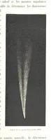Picture 110 of 238 from L'Espace céleste et la nature tropicale, description physique de l'univers ... préface de M. Babinet, dessins de Yan' Dargent (1866), leaf 329
