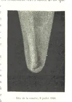 Picture 111 of 238 from L'Espace céleste et la nature tropicale, description physique de l'univers ... préface de M. Babinet, dessins de Yan' Dargent (1866), leaf 331