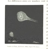 Picture 115 of 238 from L'Espace céleste et la nature tropicale, description physique de l'univers ... préface de M. Babinet, dessins de Yan' Dargent (1866), leaf 342