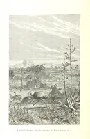Picture 8 of 238 from L'Espace céleste et la nature tropicale, description physique de l'univers ... préface de M. Babinet, dessins de Yan' Dargent (1866), leaf 36