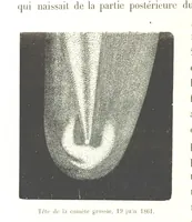 Picture 127 of 238 from L'Espace céleste et la nature tropicale, description physique de l'univers ... préface de M. Babinet, dessins de Yan' Dargent (1866), leaf 370