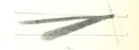 An illustration from L'Espace céleste et la nature tropicale, description physique de l'univers ... préface de M. Babinet, dessins de Yan' Dargent (1866)