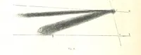 Picture 132 of 238 from L'Espace céleste et la nature tropicale, description physique de l'univers ... préface de M. Babinet, dessins de Yan' Dargent (1866), leaf 376