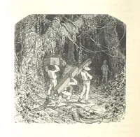 An illustration from L'Espace céleste et la nature tropicale, description physique de l'univers ... préface de M. Babinet, dessins de Yan' Dargent (1866)