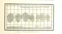 An illustration from L'Espace céleste et la nature tropicale, description physique de l'univers ... préface de M. Babinet, dessins de Yan' Dargent (1866)