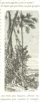 An illustration from L'Espace céleste et la nature tropicale, description physique de l'univers ... préface de M. Babinet, dessins de Yan' Dargent (1866)