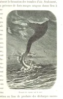 An illustration from L'Espace céleste et la nature tropicale, description physique de l'univers ... préface de M. Babinet, dessins de Yan' Dargent (1866)