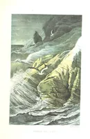 Picture 165 of 238 from L'Espace céleste et la nature tropicale, description physique de l'univers ... préface de M. Babinet, dessins de Yan' Dargent (1866), leaf 471