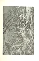 An illustration from L'Espace céleste et la nature tropicale, description physique de l'univers ... préface de M. Babinet, dessins de Yan' Dargent (1866)