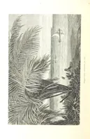 An illustration from L'Espace céleste et la nature tropicale, description physique de l'univers ... préface de M. Babinet, dessins de Yan' Dargent (1866)