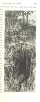 Picture 177 of 238 from L'Espace céleste et la nature tropicale, description physique de l'univers ... préface de M. Babinet, dessins de Yan' Dargent (1866), leaf 511