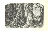An illustration from L'Espace céleste et la nature tropicale, description physique de l'univers ... préface de M. Babinet, dessins de Yan' Dargent (1866)