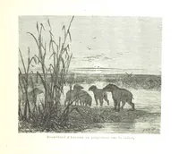 Picture 204 of 238 from L'Espace céleste et la nature tropicale, description physique de l'univers ... préface de M. Babinet, dessins de Yan' Dargent (1866), leaf 589