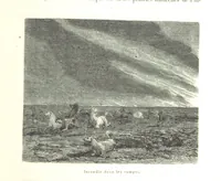 Picture 205 of 238 from L'Espace céleste et la nature tropicale, description physique de l'univers ... préface de M. Babinet, dessins de Yan' Dargent (1866), leaf 599