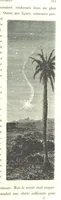 Picture 209 of 238 from L'Espace céleste et la nature tropicale, description physique de l'univers ... préface de M. Babinet, dessins de Yan' Dargent (1866), leaf 607