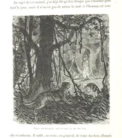 An illustration from L'Espace céleste et la nature tropicale, description physique de l'univers ... préface de M. Babinet, dessins de Yan' Dargent (1866)