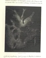Picture 216 of 238 from L'Espace céleste et la nature tropicale, description physique de l'univers ... préface de M. Babinet, dessins de Yan' Dargent (1866), leaf 643