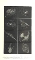 Picture 217 of 238 from L'Espace céleste et la nature tropicale, description physique de l'univers ... préface de M. Babinet, dessins de Yan' Dargent (1866), leaf 645