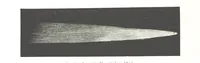 Picture 21 of 238 from L'Espace céleste et la nature tropicale, description physique de l'univers ... préface de M. Babinet, dessins de Yan' Dargent (1866), leaf 66