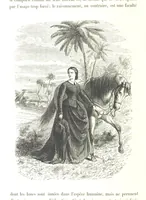Picture 223 of 238 from L'Espace céleste et la nature tropicale, description physique de l'univers ... préface de M. Babinet, dessins de Yan' Dargent (1866), leaf 662