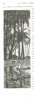 An illustration from L'Espace céleste et la nature tropicale, description physique de l'univers ... préface de M. Babinet, dessins de Yan' Dargent (1866)