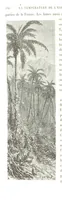 Picture 230 of 238 from L'Espace céleste et la nature tropicale, description physique de l'univers ... préface de M. Babinet, dessins de Yan' Dargent (1866), leaf 688