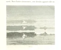 Picture 236 of 238 from L'Espace céleste et la nature tropicale, description physique de l'univers ... préface de M. Babinet, dessins de Yan' Dargent (1866), leaf 705