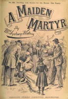 Picture 43 of 178 from Thrilling Life Stories for the Masses (1892), leaf 107