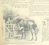 Picture 47 of 178 from Thrilling Life Stories for the Masses (1892), leaf 113