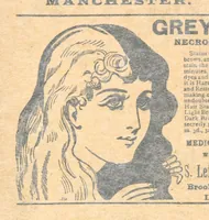 Picture 65 of 178 from Thrilling Life Stories for the Masses (1892), leaf 168