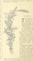 Picture 76 of 178 from Thrilling Life Stories for the Masses (1892), leaf 196