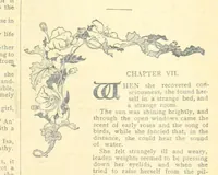 Picture 78 of 178 from Thrilling Life Stories for the Masses (1892), leaf 199