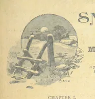 Picture 83 of 178 from Thrilling Life Stories for the Masses (1892), leaf 229