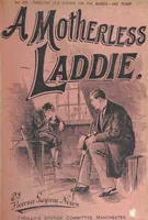 Picture 112 of 178 from Thrilling Life Stories for the Masses (1892), leaf 303