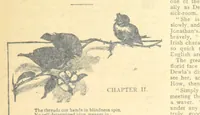 Picture 14 of 178 from Thrilling Life Stories for the Masses (1892), leaf 31