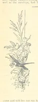 An illustration from Thrilling Life Stories for the Masses (1892)