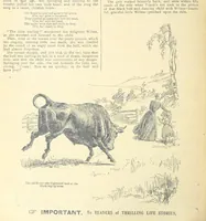 Picture 134 of 178 from Thrilling Life Stories for the Masses (1892), leaf 352