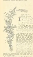 Picture 135 of 178 from Thrilling Life Stories for the Masses (1892), leaf 354