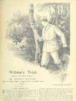 Picture 144 of 178 from Thrilling Life Stories for the Masses (1892), leaf 365