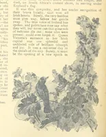 Picture 22 of 178 from Thrilling Life Stories for the Masses (1892), leaf 40