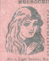 Picture 168 of 178 from Thrilling Life Stories for the Masses (1892), leaf 424